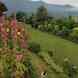 Asar Kashmir Tour And Travel visiting card