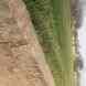 Bains Farm visiting card