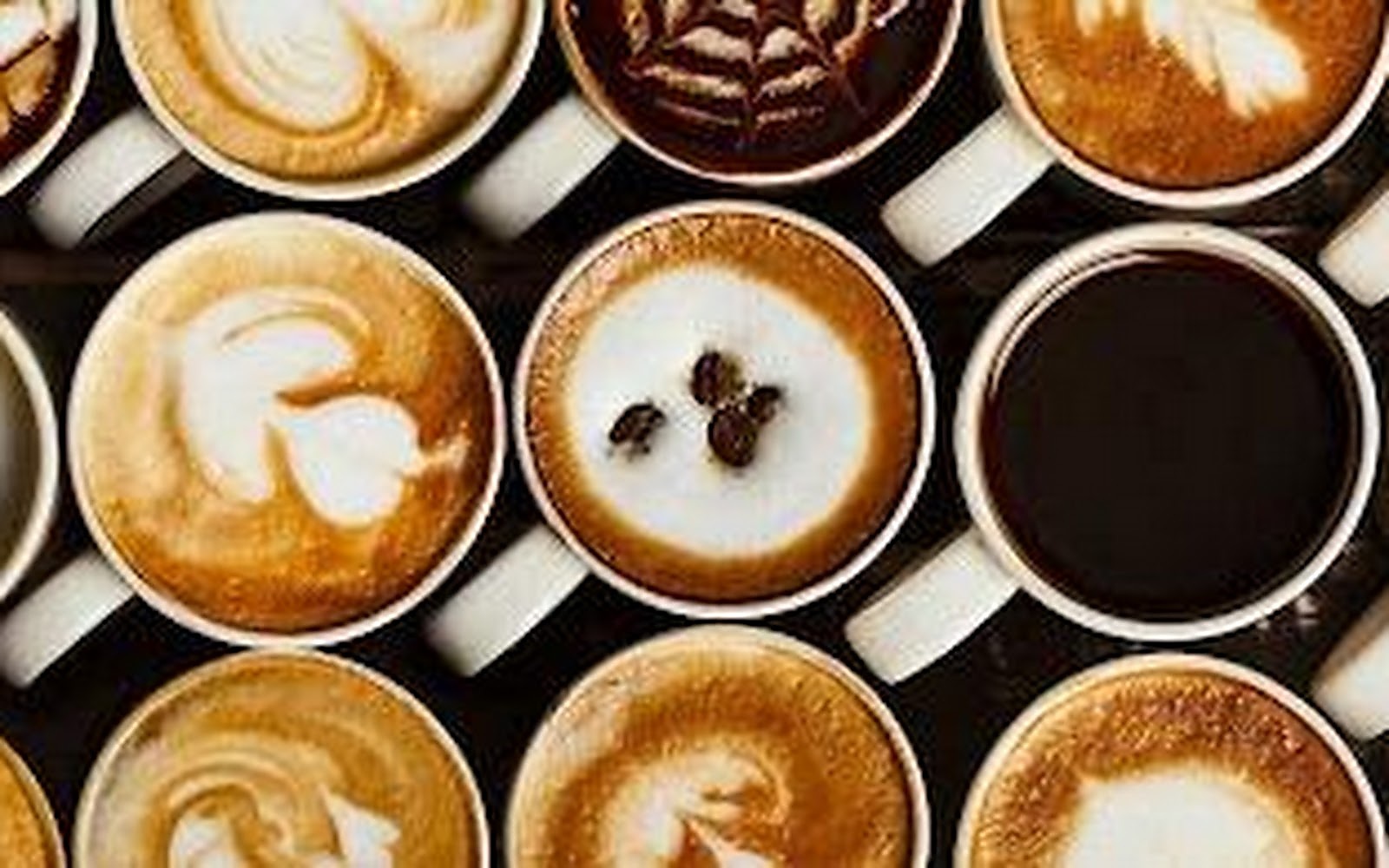 Barista Coffee Ludhiana visiting card
