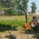 Basi Farm visiting card