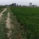 Bhatti Farms visiting card
