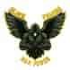 Black Falcon Manpower Private Limited visiting card