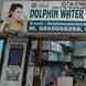 Dolphin Water Technology visiting card