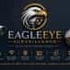 Eagle Eye Surveillance Cctv visiting card