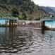 Fish Hatchery Farm visiting card