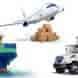 INDIA INTERNATIONAL COURIER SERVICES visiting card