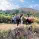 JuneGiri Farms Homestays & Cottages visiting card
