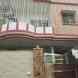 MANGAL BHAWAN P.G. HOMESTAY visiting card