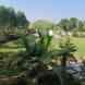 Mansi FARMHOUSE visiting card
