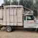 Mummyshree Packers and Movers visiting card