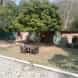 Nature's Nest Resort & Cofe visiting card