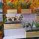 Nc Interiors visiting card