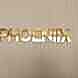 Phoeniix Prime Fitness Club visiting card