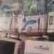 Preeti Water Solution visiting card