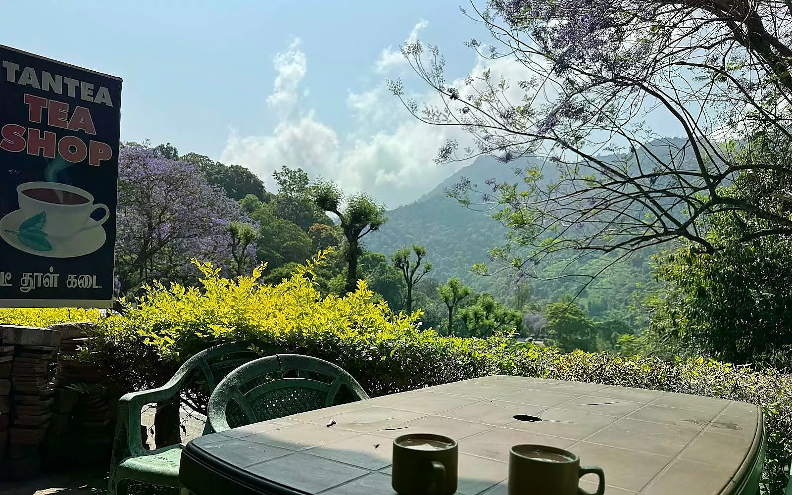 TanTea Tea Shop Coonoor visiting card