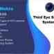 Third Eye Security Solutions visiting card