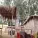 Village Integrated Farm Kadaknath Bater Farm visiting card